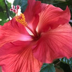 Meet your Posher, Kelsi